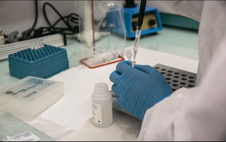 Esta versión del SARS-CoV-2, ligada a personas que han viajado al Reino Unido desde Sudáfrica, es ''muy preocupante'' y parece contener más mutaciones. AFP / ARCHIVO