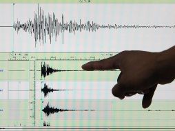 Protección Civil de Guerrero indicó que el temblor no ameritó alerta sísmica debido a que ''la estimación de energía en los primeros segundos, no superó los niveles preestablecidos''. EFE / ARCHIVO
