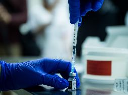 Los expertos esperan probar que el cóctel de anticuerpos protege contra COVID-19 durante entre seis y 12 meses. AFP / V. Simicek