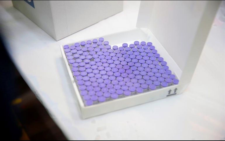 Manuel de la O señaló que esperan que pronto lleguen millones de vacunas y no sólo unas cuantas. EFE/P. Moncloa