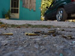 Con los dos mil 755 asesinatos y feminicidios registrados en noviembre, suman un total de 32 mil 738 víctimas en el periodo enero-noviembre de este año. AP / ARCHIVO