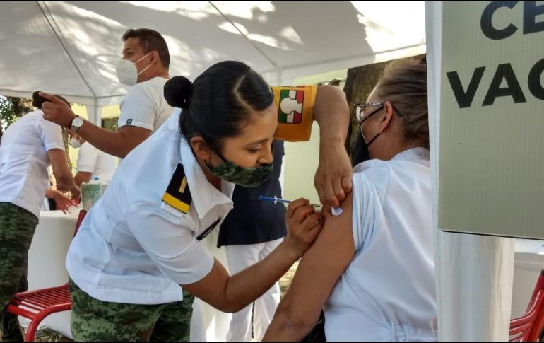 Se crearán brigadas para llevar a cabo la vacunación 