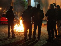 La directora de Justicia Cívica Municipal, Paola Franco Mendoza, habló de la importancia de no realizar este tipo de malas prácticas. EL INFORMADOR / ARCHIVO