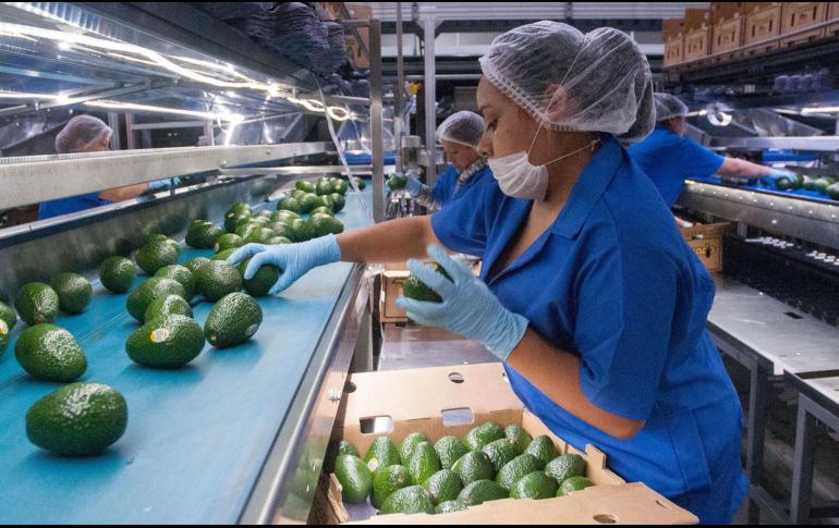 En un escenario negativo el crecimiento podría ser aún menor, del 1.9 %. NTX/ARCHIVO