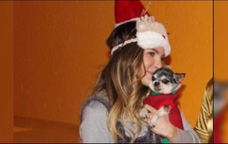 “Gizmo” acompañó a Belinda a lo largo de su carrera, viajaba con él y era su fiel compañero. INSTAGRAM / @belindapop