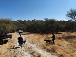 En Teocaltiche, las autoridades realizaron labores de campo con drones y georradares. ESPECIAL