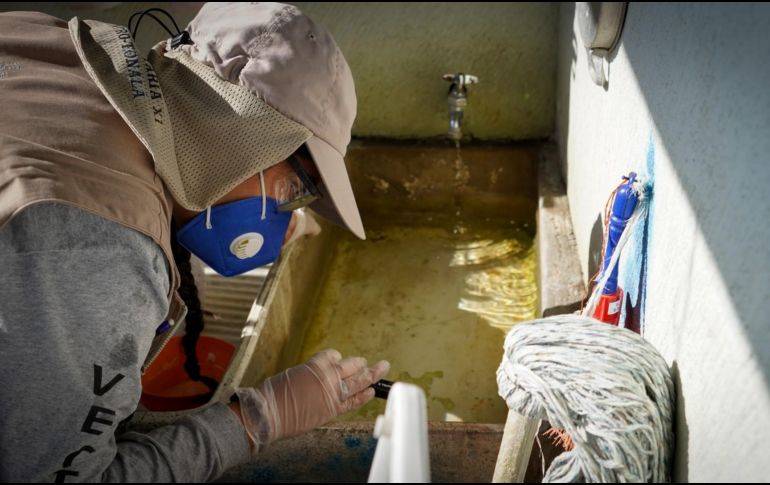 En 2020 se visitaron 2 millones de viviendas para realizar trabajos de control larvario, más de 600 mil casas fueron en la Zona Metropolitana de Guadalajara. ESPECIAL/Gobierno de Jalisco/ARCHIVO