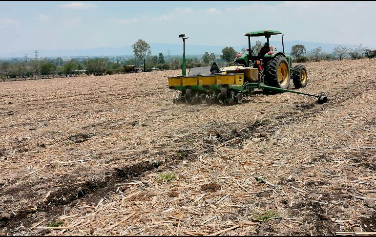 ESTUDIO. El desarrollo de profesionales de la agrobiotecnología es clave para aprovechar de mejor manera los recursos naturales.
