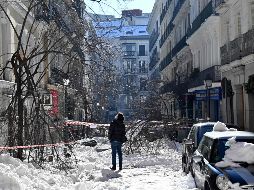 Muchos de los principales servicios de Madrid seguían cerrados el lunes, incluido el principal mercado mayorista de alimentación. AFP / G. Bouys