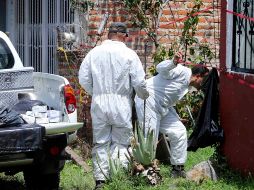 La Fiscalía General del Estado de Jalisco colocó sellos de clausura en la finca que se encuentra resguardada. SUN /ARCHIVO