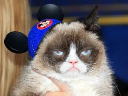 La celebración se llevó a cabo en un balneario de la comuna de Santo Domingo, en la región chilena de Valparaíso. EFE/ ARCHIVO