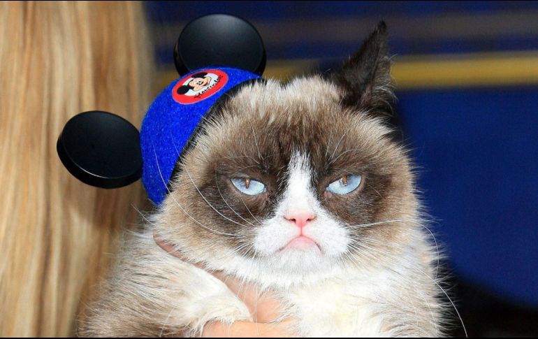 La celebración se llevó a cabo en un balneario de la comuna de Santo Domingo, en la región chilena de Valparaíso. EFE/ ARCHIVO