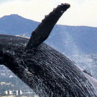 Los Cabos, promesa de descanso