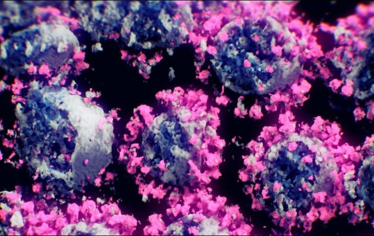 Según los investigadores 