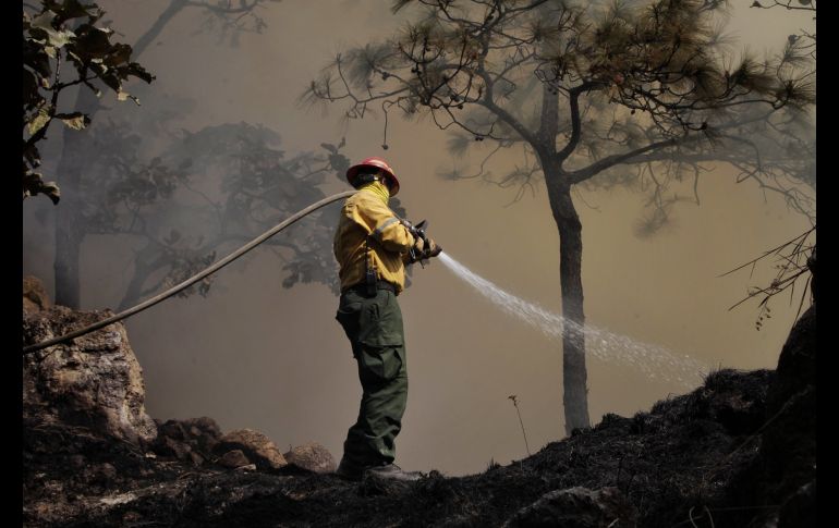 Semadet Jalisco se prepara en zonas forestales para un año con condiciones climáticas adversas. ESPECIAL