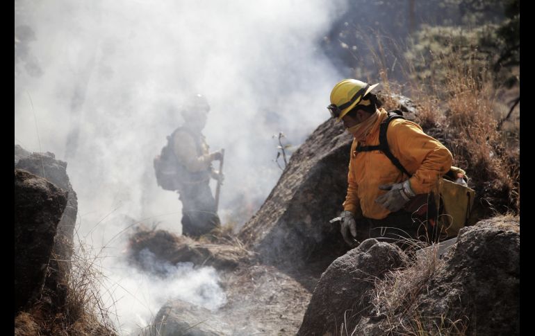 Semadet Jalisco se prepara en zonas forestales para un año con condiciones climáticas adversas. ESPECIAL