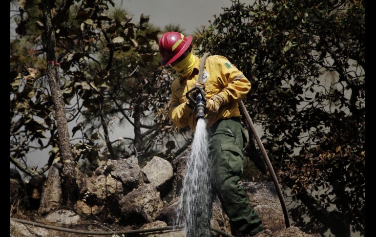 Semadet Jalisco se prepara en zonas forestales para un año con condiciones climáticas adversas. ESPECIAL