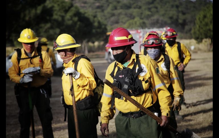Semadet Jalisco se prepara en zonas forestales para un año con condiciones climáticas adversas. ESPECIAL