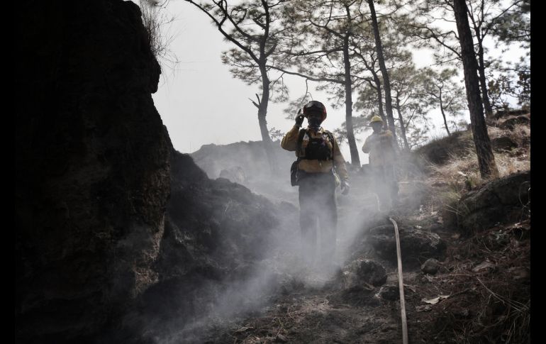 Semadet Jalisco se prepara en zonas forestales para un año con condiciones climáticas adversas. ESPECIAL