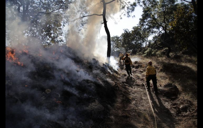 Semadet Jalisco se prepara en zonas forestales para un año con condiciones climáticas adversas. ESPECIAL