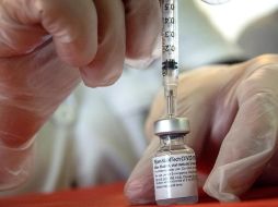 Los residentes floridanos deben mostrar su licencia de conducir, la factura de algún servicio público o una carta de un banco. EFE/ARCHIVO