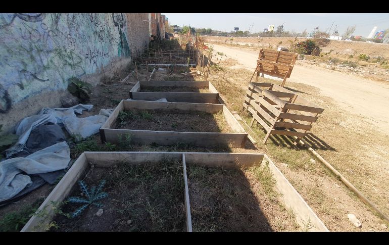 Iniciaron con composteros, para tener materia orgánica y abonar a los árboles que plantaron. EL INFORMADOR/ G. Gallo