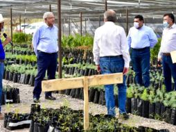 Sembrando Vida se consolidó en 20 entidades de México con la participación de más de 416 mil campesinas y campesinos. TWITTER/@bienestarmx