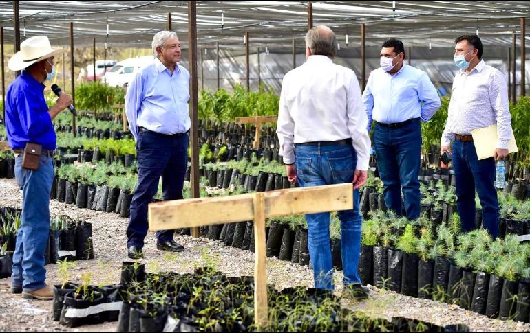 Sembrando Vida se consolidó en 20 entidades de México con la participación de más de 416 mil campesinas y campesinos. TWITTER/@bienestarmx