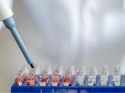 El Presidente declaró que sería 