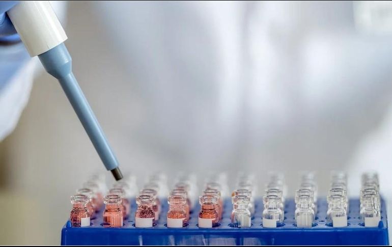 El Presidente declaró que sería 