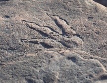 De acuerdo con un comunicado del museo nacional de paleontología de Gales, Lily Wilder se encontraba de paseo con su familia cuando descubrió la impresión en la arena. TWITTER / @Museum_Cardiff