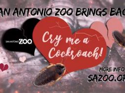 Por cinco dólares, es posible nombrar a una cucaracha como alguna expareja para después servirla como aperitivo a otros animales del recinto. ESPECIAL.