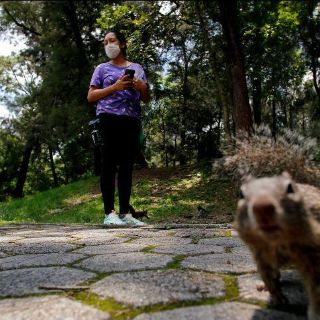 Las + Informador: Las noticias del 1 de febrero de 2021