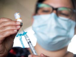 Fernando Petersen, secretario de Salud Jalisco, resalta que la estrategia estatal no sustituye el Plan de Vacunación nacional, sino que es un refuerzo. EFE/J. Alves