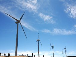 El año pasado se concretó en Jalisco un proyecto eólico en Unión de San Antonio. SUN/ARCHIVO