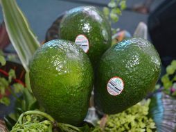 No es extraño pensar que el aguacate sea un producto de alta demanda en el mundo, principalmente en EU, donde en el guacamole, se ha convertido en una de las botanas más solicitadas en aquel país. NTX / ARCHIVO
