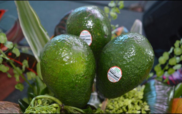 No es extraño pensar que el aguacate sea un producto de alta demanda en el mundo, principalmente en EU, donde en el guacamole, se ha convertido en una de las botanas más solicitadas en aquel país. NTX / ARCHIVO