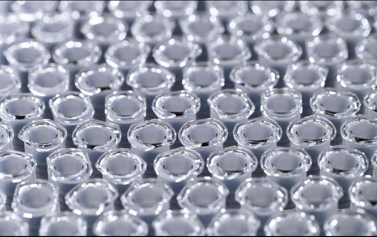 Apenas ayer martes, la vacuna rusa Sputnik V fue aprobada por la Cofepris. AFP / ARCHIVO