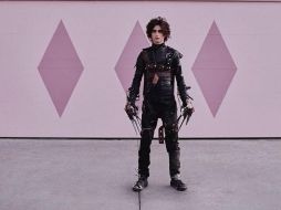 Timothée Chalamet como 