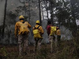 Buscan consolidar las capacidades en todos los sectores en el manejo del fuego en el estado de Jalisco. ESPECIAL/Semadet