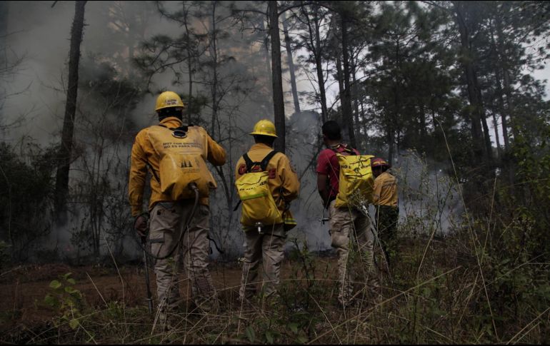 Buscan consolidar las capacidades en todos los sectores en el manejo del fuego en el estado de Jalisco. ESPECIAL/Semadet