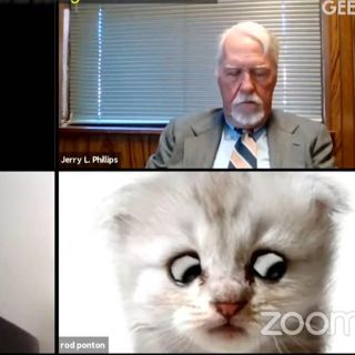 Abogado asiste a audiencia virtual con filtro de gatito