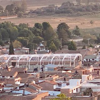 Alcaldesa de Tapalpa tala árboles para construir un domo irregular