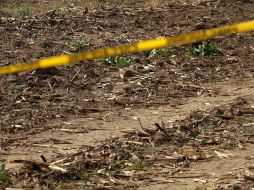 La avioneta Cessna se desplomó en una zona agrícola de Navolato. EFE/ARCHIVO