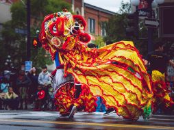 ¿Qué animal del Horóscopo Chino eres y qué te depara el Año del Buey? ESPECIAL / PEXELS