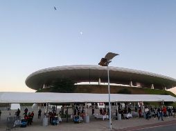 La directiva de Chivas anunció que para el cotejo ante el Necaxa, está descartado que se abran las puertas del Estadio Akron. Imago7