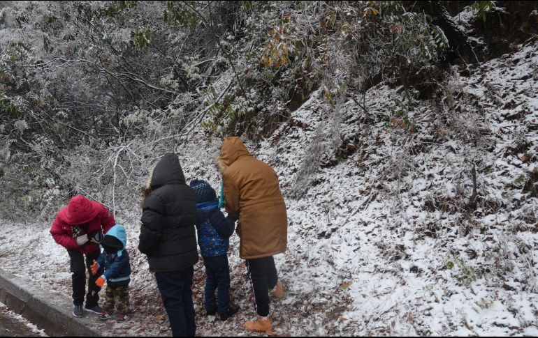 Ayer se registró un apagón en varias entidades del Norte del país debido a las bajas temperaturas. SUN / ARCHIVO
