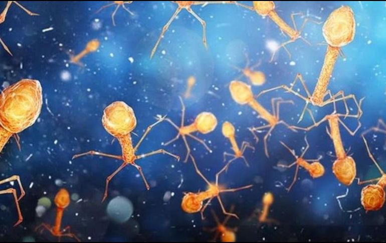 Muchos virus están involucrados en procesos corporales esenciales y forman parte de nuestro ecosistema interno. GETTY IMAGES