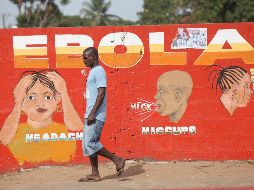 El virus del ébola se transmite a los humanos a través de animales infectados y por los fluidos corporales. EFE / ARCHIVO