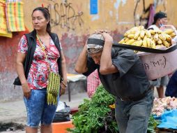 México ha mostrado pasos hacia delante para derribar restricciones legales en cuanto a la equidad de género. EFE/ARCHIVO